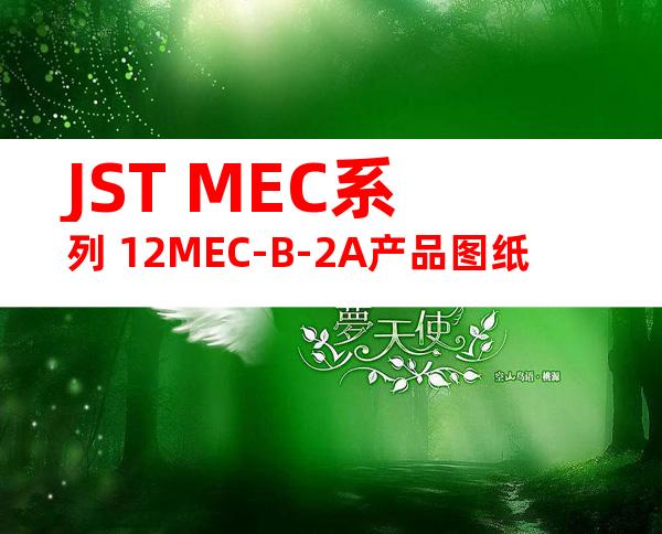 JST MEC系列 12MEC-B-2A产品图纸